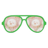 Schattig hondengezicht donut aviator zonnebril (Voorkant)
