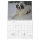 Schattig hondenras Sint-Bernhard Puppy Kalender (Feb 2027)
