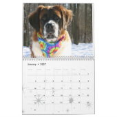 Schattig hondenras Sint-Bernhard Puppy Kalender (Jan 2027)