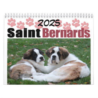 Schattig hondenras Sint-Bernhard Puppy Kalender