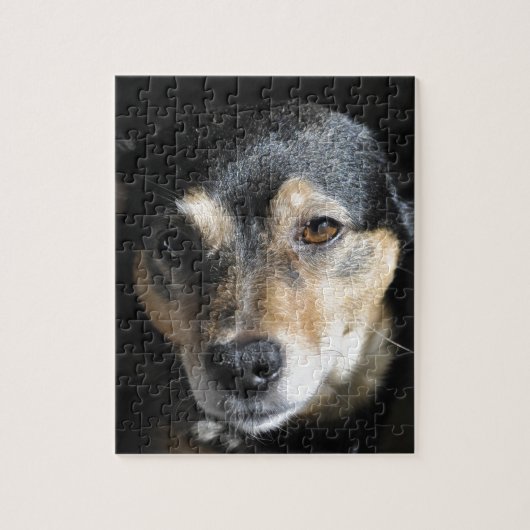 Schattig Hondje Poseert voor de Camera Legpuzzel (Verticaal)