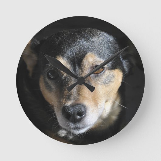 Schattig Hondje Poseert voor de Camera Ronde Klok (Voorkant)