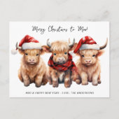 Schattig Hoogland Koe Kalf Vrolijk Kerstfeest naar Feestdagenkaart (Voorkant)