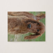 Schattig Iers Setter Legpuzzel (Horizontaal)