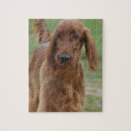 Schattig Iers Setter Legpuzzel (Verticaal)