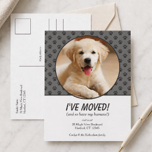 Schattig Ik Ben Verhuisd Aangepaste Hond Foto Ansi Briefkaart