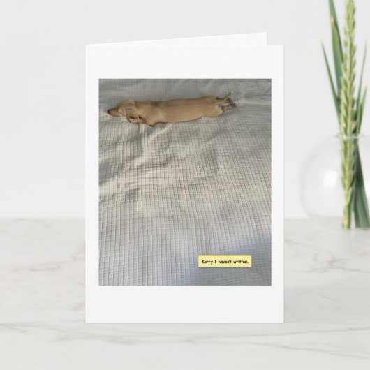 Schattig Ik Was Bezig Dachshund Kaart (Voorkant)