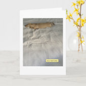 Schattig Ik Was Bezig Dachshund Kaart (Gele Bloem)