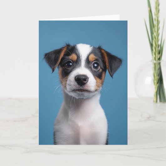 Schattig Jack Russell Terrier Puppyportret (Voorkant)