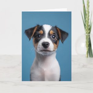 Schattig Jack Russell Terrier Puppyportret