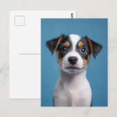 Schattig Jack Russell Terrier Puppyportret Briefkaart (Voorkant / Achterkant)