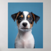 Schattig Jack Russell Terrier Puppyportret Poster (Voorkant)