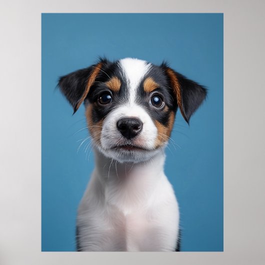 Schattig Jack Russell Terrier Puppyportret Poster (Voorkant)