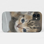 Schattig Jong Kittens Case-Mate iPhone Case (Achterkant (horizontaal))