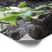 Schattig jong rattenpaar in het Poster van de bome (Hoek)