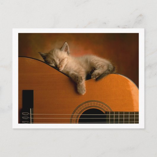 schattig kat briefkaart (Voorkant)