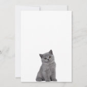 Schattig katje  kaart (Achterkant)