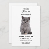 Schattig katje  kaart (Voorkant / Achterkant)