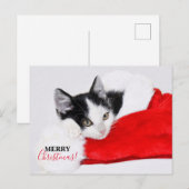 Schattig katje met Kerstman-muts Feestdagenkaart (Voorkant / Achterkant)