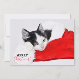 Schattig katje met Kerstman-muts Feestdagenkaart