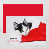 Schattig katje met Kerstman-muts Feestdagenkaart (Voorkant / Achterkant)