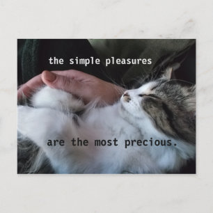 Schattig Kattenfilosofie: Eenvoudige Geneugten Zij Briefkaart