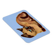 schattig kattenkatje magneet (Rechterzijde)