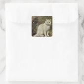 schattig  kattenliefhebbers Vierkante Sticker (Tas)