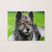 Schattig Keeshond Legpuzzel (Horizontaal)