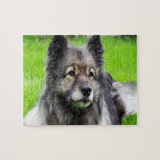 Schattig Keeshond Legpuzzel (Horizontaal)