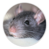 Schattig Keramische Knop (Voorkant)