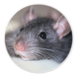 Schattig Keramische Knop