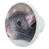 Schattig Keramische Knop (Rechts)