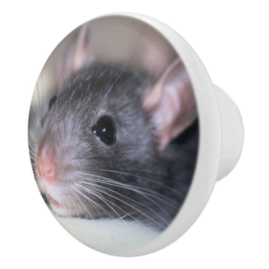 Schattig Keramische Knop (Rechts)