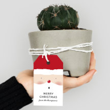 Schattig Kerstmannetje Vrolijk Kerstmis Familienaa