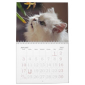 Schattig keukenkalender kalender (Jan 2027)