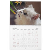 Schattig keukenkalender kalender (Jan 2026)