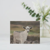 Schattig Kind Briefkaart (Staand voorkant)