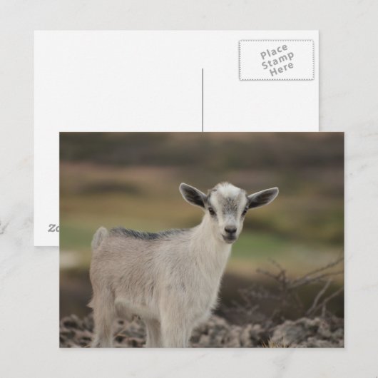 Schattig Kind Briefkaart (Voorkant / Achterkant)