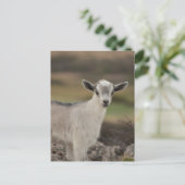 Schattig Kind Briefkaart (Staand voorkant)
