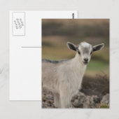 Schattig Kind Briefkaart (Voorkant / Achterkant)