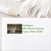 Schattig Kind Etiket (Insitu)