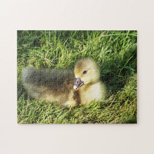 schattig kind in de ganzen legpuzzel (Horizontaal)