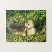 schattig kind in het gras ganzen legpuzzel (Horizontaal)