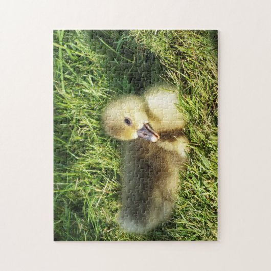 schattig kind in het gras ganzen legpuzzel (Verticaal)