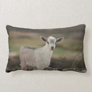 Schattig Kind Kussen