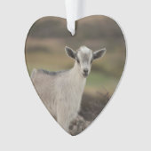 Schattig Kind Ornament (voorkant)