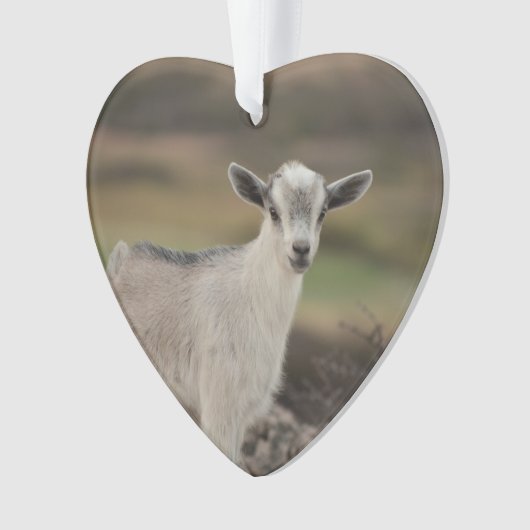 Schattig Kind Ornament (voorkant)