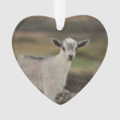 Schattig Kind Ornament (voorkant)