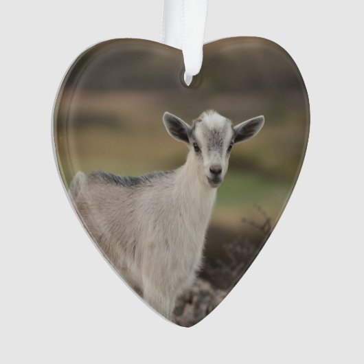 Schattig Kind Ornament (voorkant)